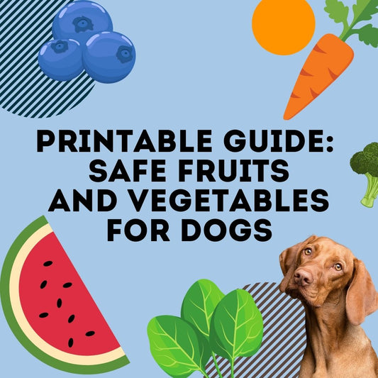 Printable Guide: Safe Fruits and Vegetables for Dogs