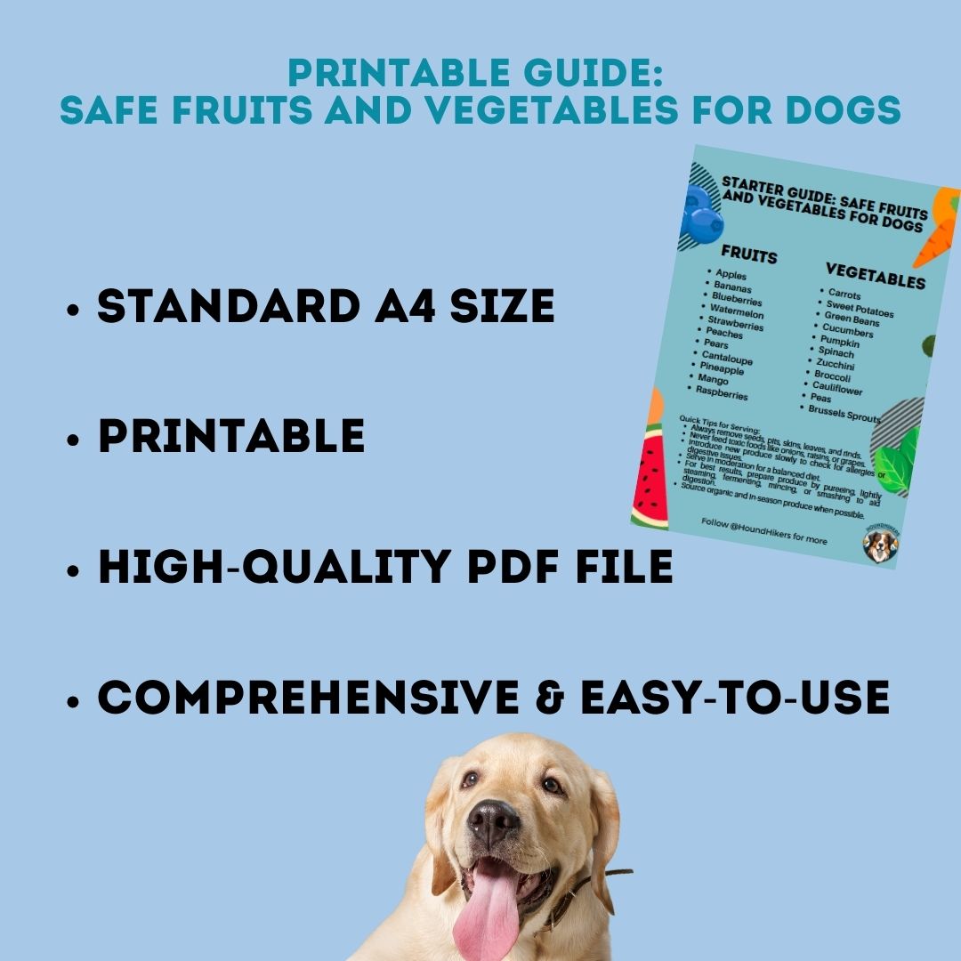 Printable Guide: Safe Fruits and Vegetables for Dogs