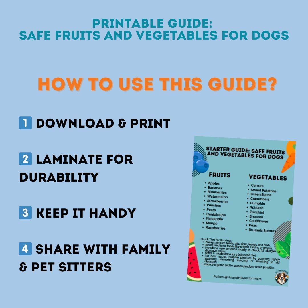 Printable Guide: Safe Fruits and Vegetables for Dogs