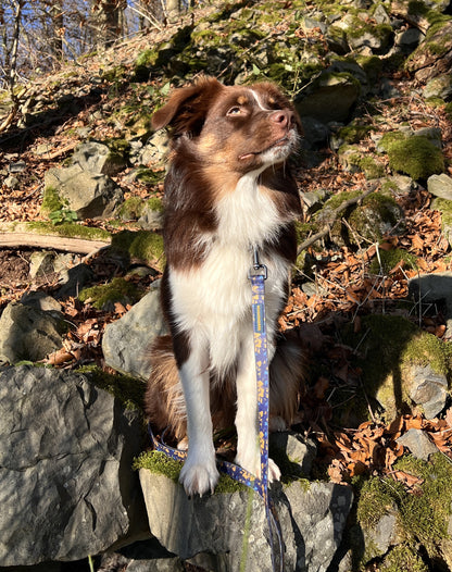 BlueBay Waterproof Leash