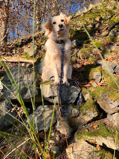 BlueBay Waterproof Leash