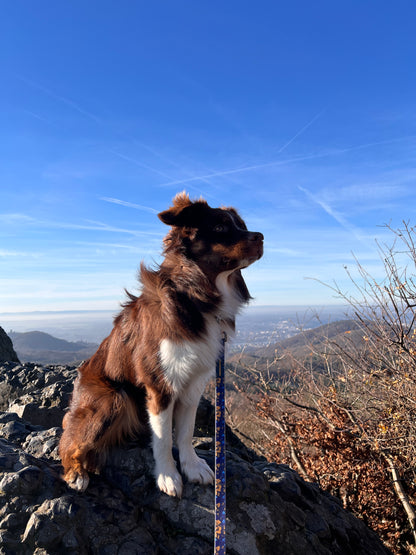 BlueBay Waterproof Leash