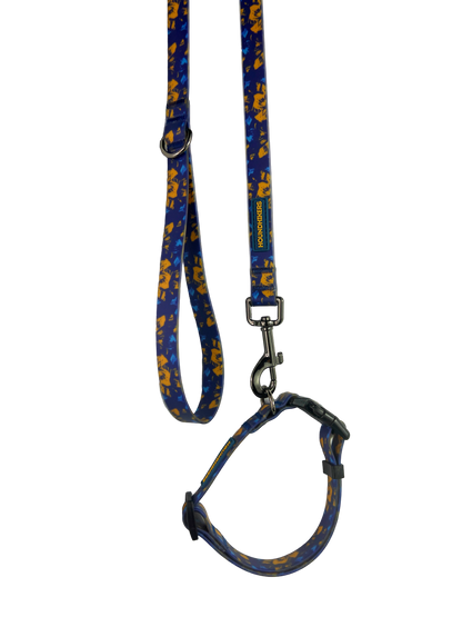 BlueBay Waterproof Collar & Leash Set