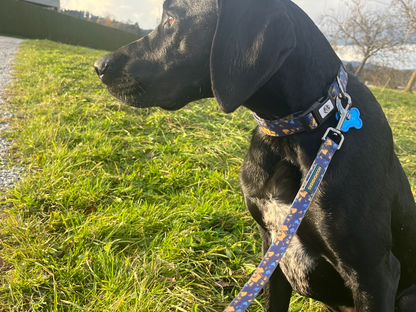 BlueBay Waterproof Collar & Leash Set