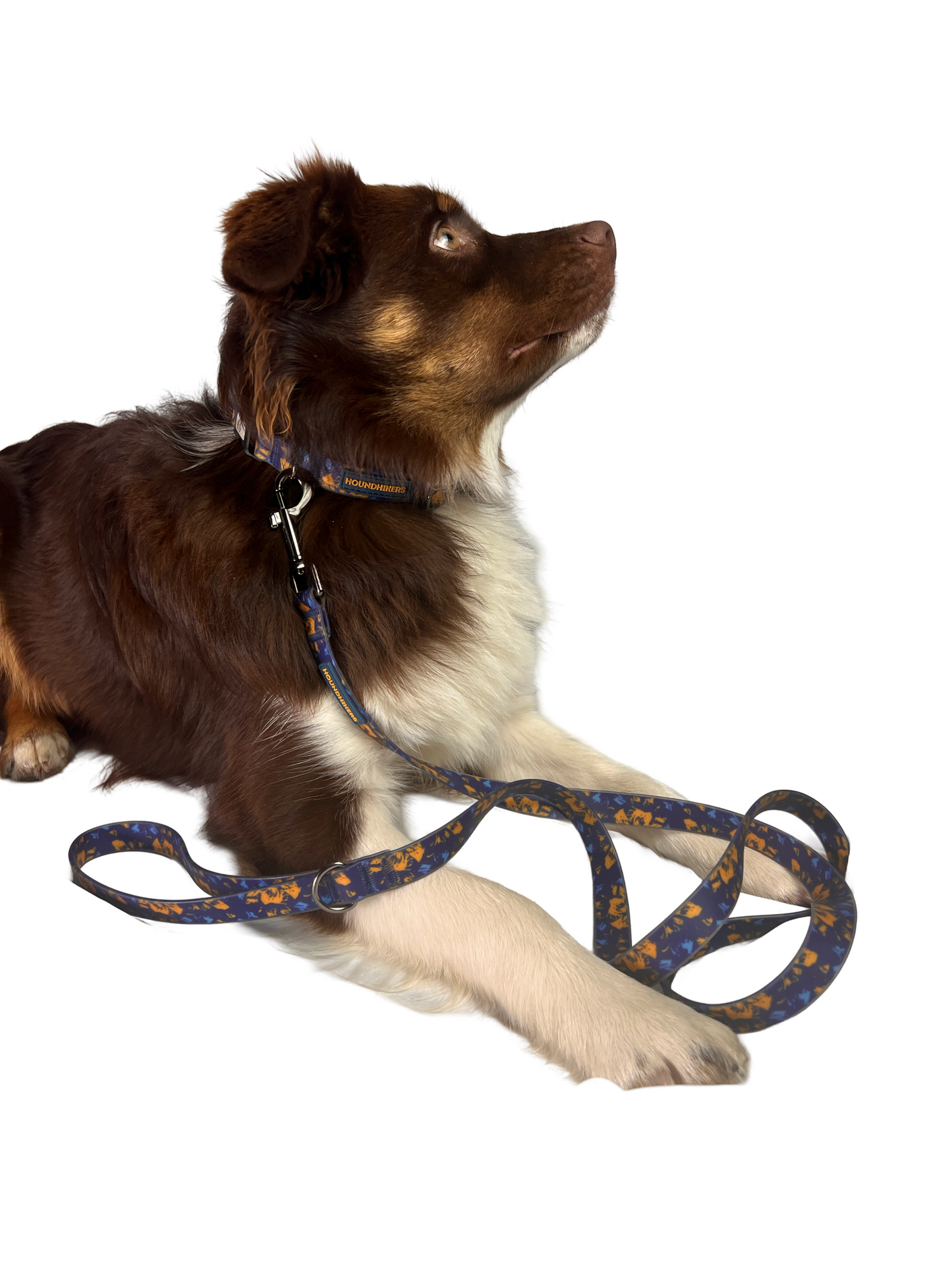 BlueBay Waterproof Leash